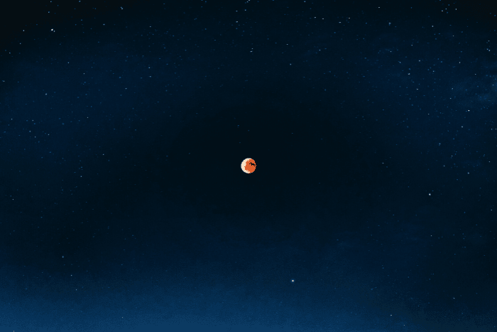 venus 2023 venus 2023