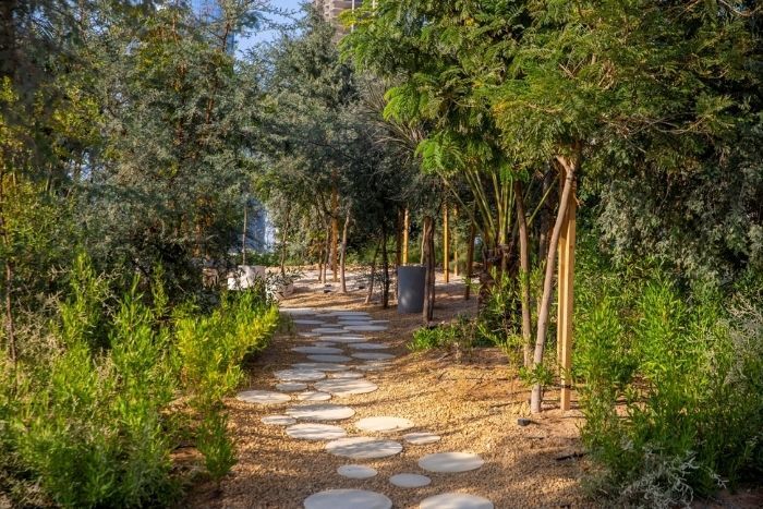 Park in abu dhabi