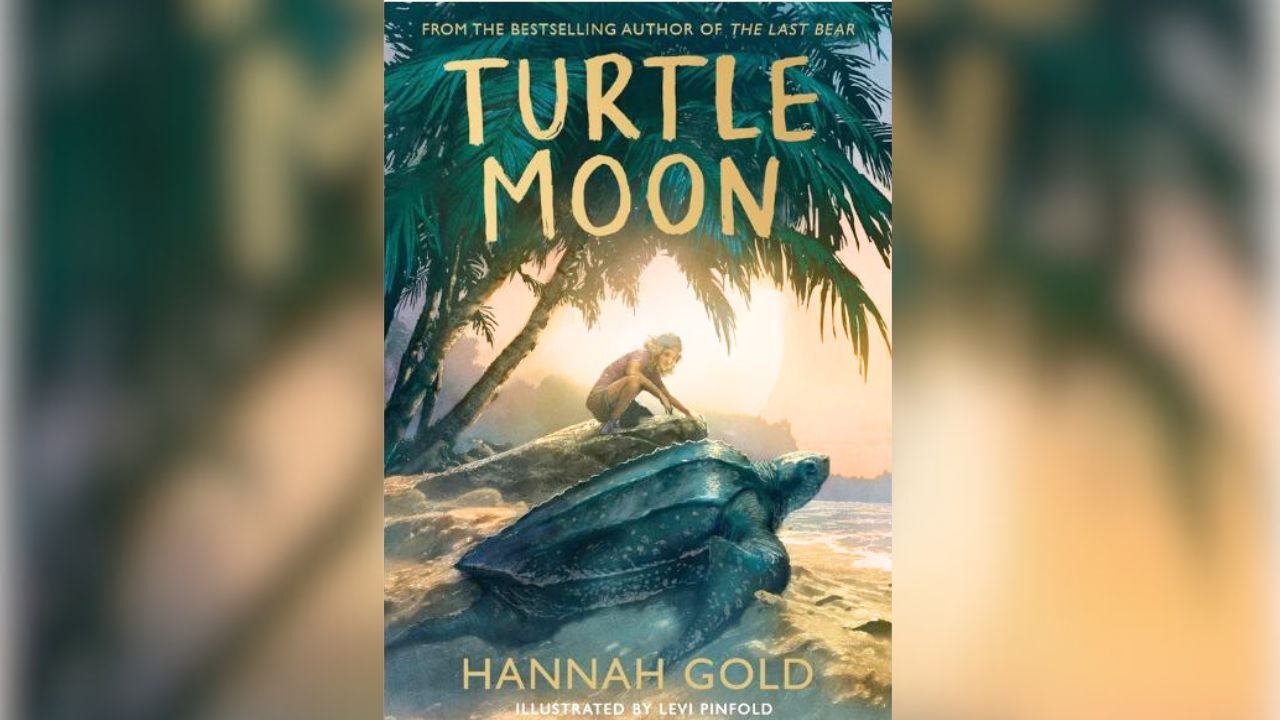 turtle moon turtle moon book of the month competition