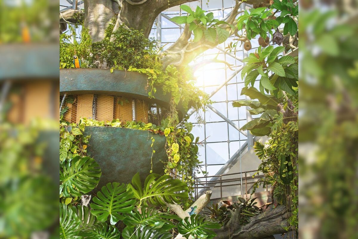 The Green Planet The Green Planet Launches Outdoor Spectacular Tropical Indoor Nature Park