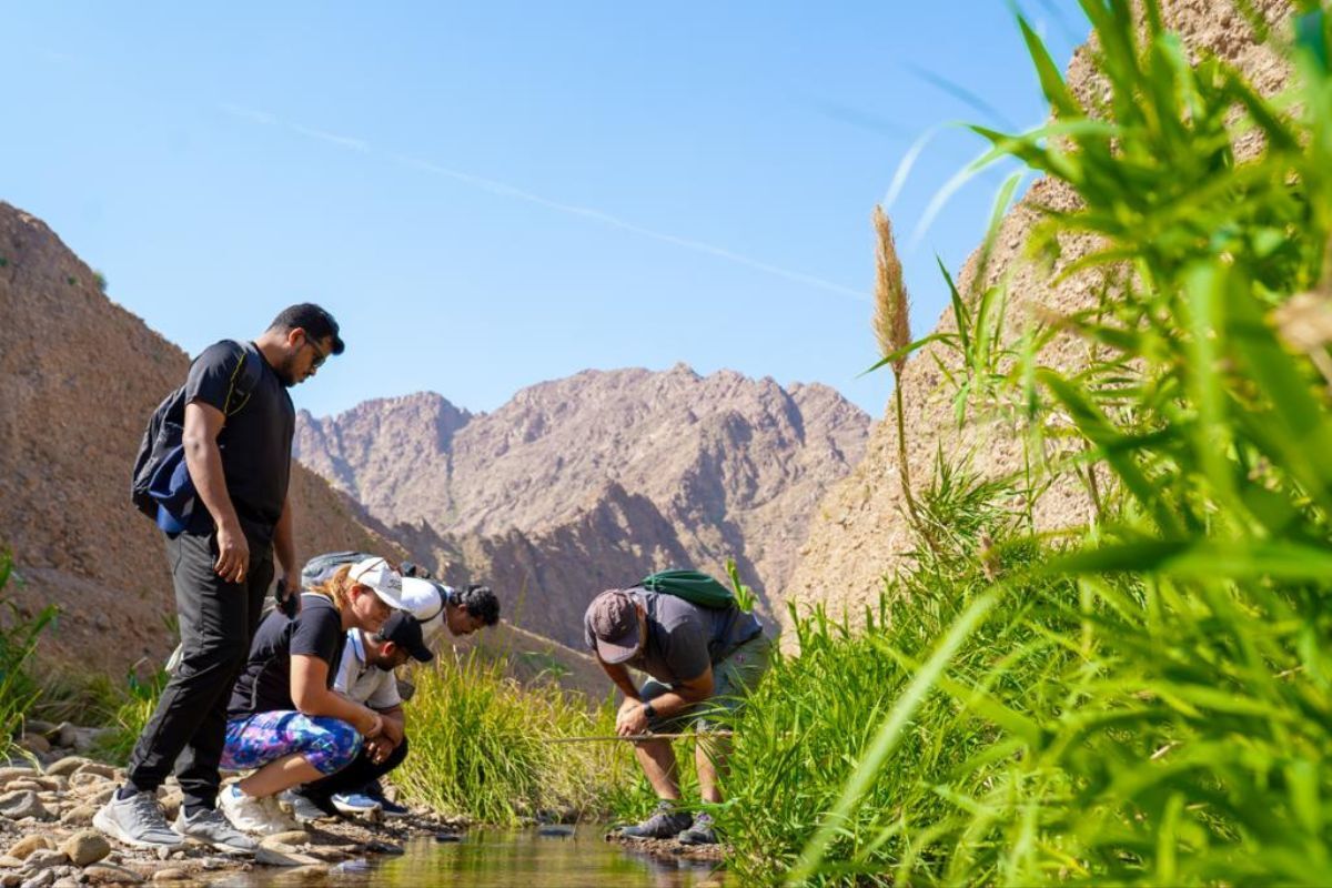 COP28 Cop28, Year Of Sustainability, Year Of Sustainability 2023, Sustainable Living, Cop28 2023, Cop28 Dubai, Cop28 Abu Dhabi, Cop28 Dubai 2023, Cop28 Abu Dhabi 2023, Cop28 Year Of Sustainability, Cop28 First Local Climate Summit, First Local Climate Summit, Local Climate Summit, Local Climate Summit In Dubai, Local Climate Summit In Abu Dhabi, Local Climate Summit In Uae, Local Climate Summit 2023